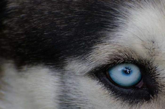 5bbb313795a597cc588b45e3