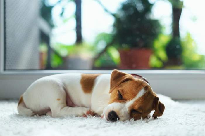 a910b561-c1e2-4c8d-987b-6b5c0728f2dd_16x9_1200x676