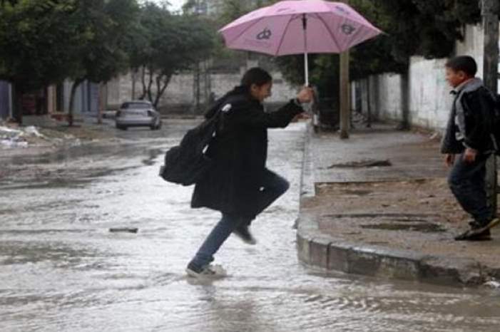 1120181011464194608259