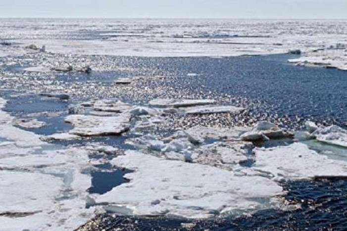 5be427c695a597c6388b4618