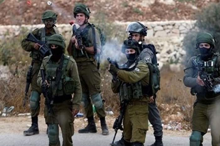 emiratesvoice18971129