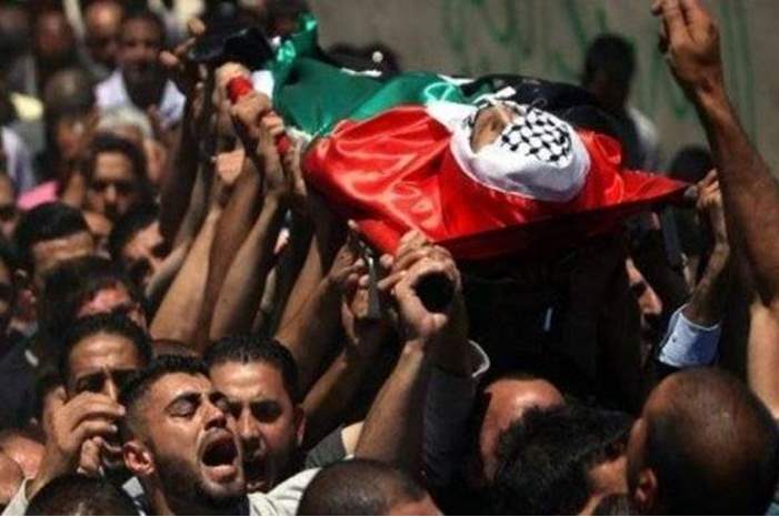 03098182012044187130323011356680