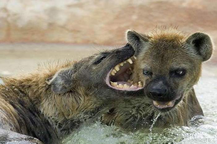 5be55aeb95a5972d618b458b