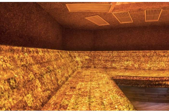 5be573d095a59772628b45b6