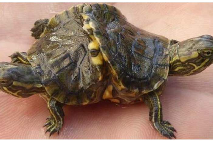 5be58d2195a59704758b45bf