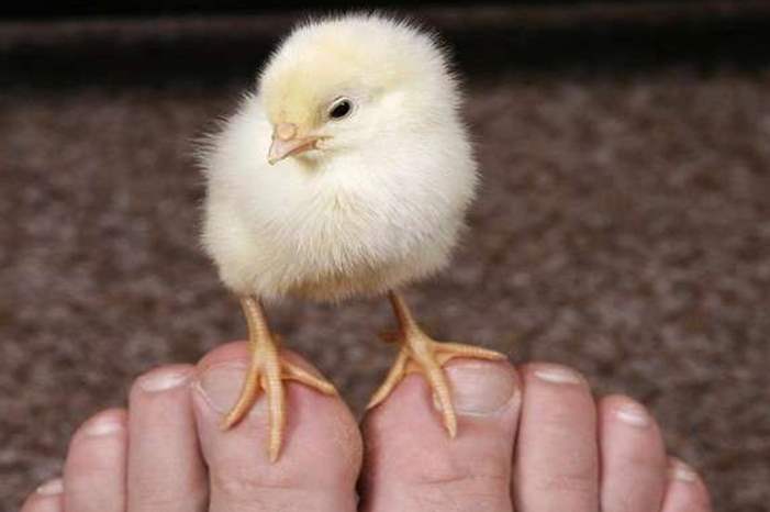 5be95cf7d437509c5b8b45b0