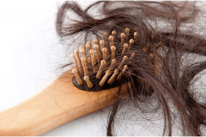 fb940dc5-b0aa-422a-8522-12499e062ecd_16x9_1200x676