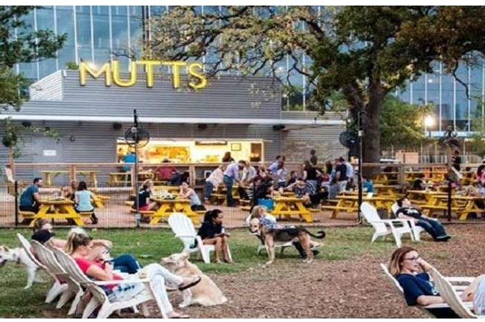 5be97f51d43750c05b8b460e