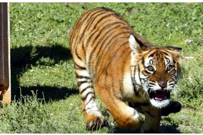 5beaf040d43750fd438b460f