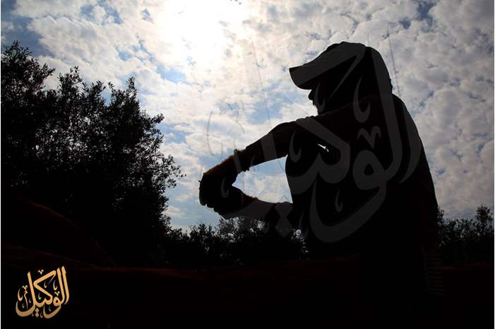 المزارعين .. هم ثمار الوطن