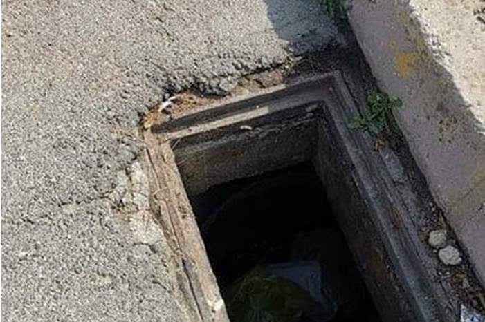 46436439_2002090053210315_8593677312401080320_n