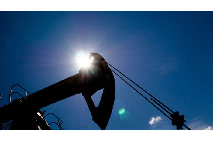 5bee831895a597ee198b45fc