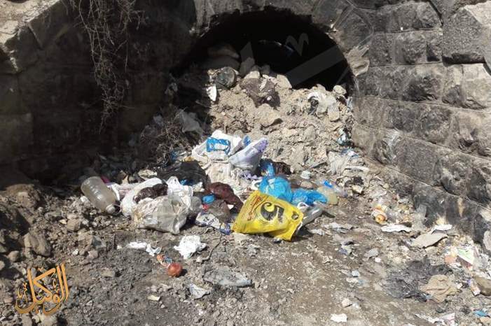 46447700_2002224916530162_8543532907795316736_o