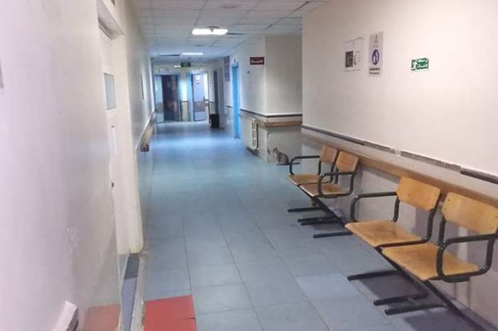 46319930_1791268540982223_5532637593507725312_n