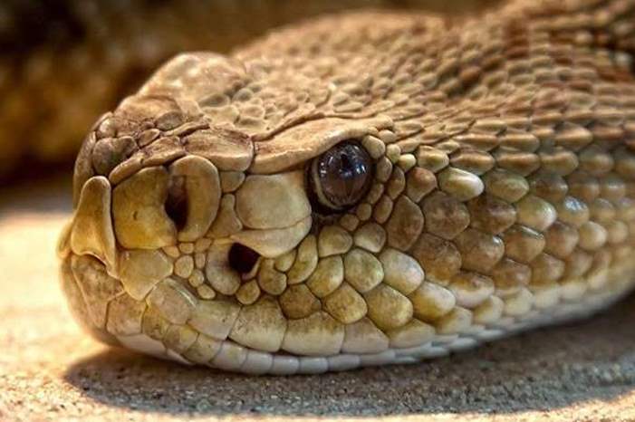 5bf101b195a59718368b464d