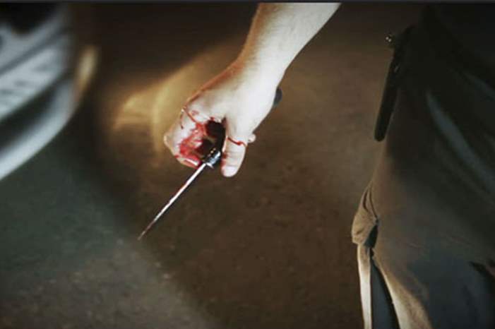 b5a83bc4d56b4cc37a63a51e60028066