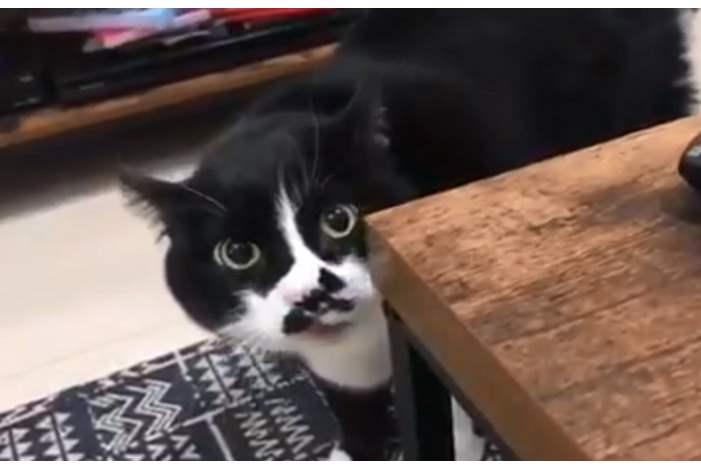 5beebf6495a597606e8b457c