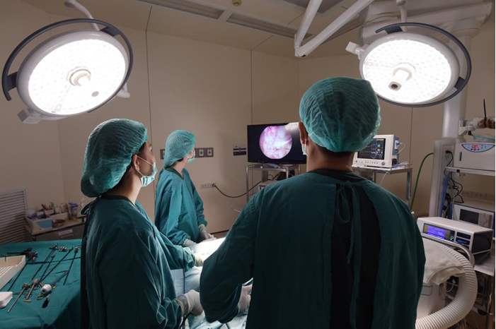 745da9ba-25b7-42b2-89ce-063b702cb6da