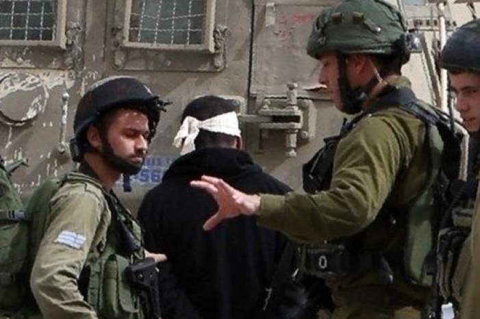 medium_2018-11-20-2073770743