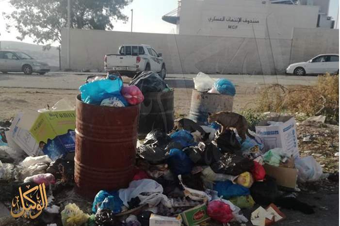 46462360_2008462789239708_8690503248395632640_n