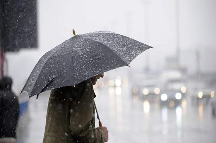 11524b221c4d664888c786fccfde1351