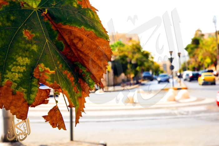 هذه من آيات الله ..