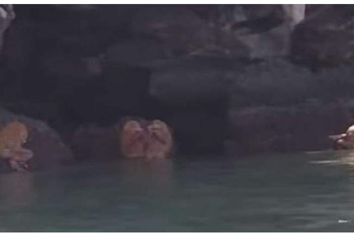 5bf3e17b95a59715798b45cd