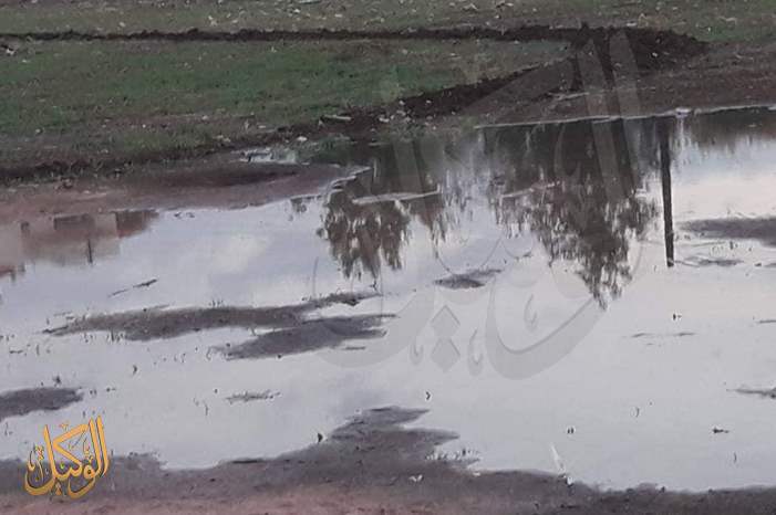 46525871_2010924435660210_7485336387210706944_n