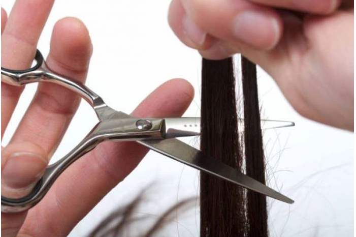 3123-jpg-1951312598145260