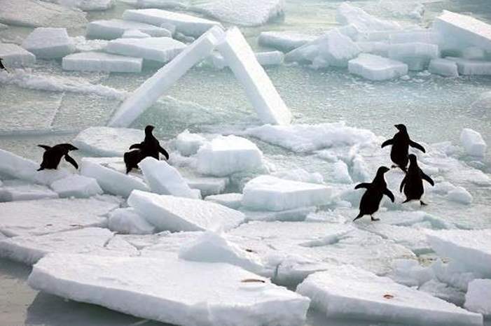 5bf5487dd43750b43e8b45e4