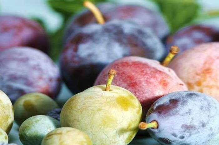 5bf7d785d43750f24e8b4609