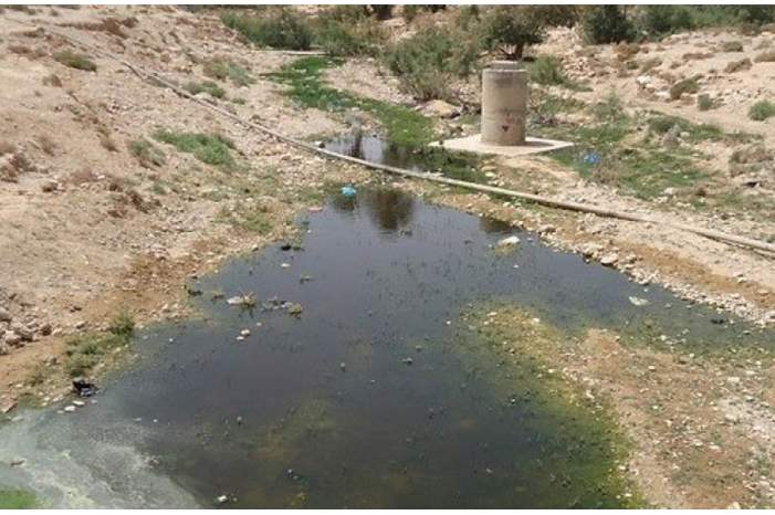 8ee0e495b1150cdf2a6bb0b00eeff0fb (1)