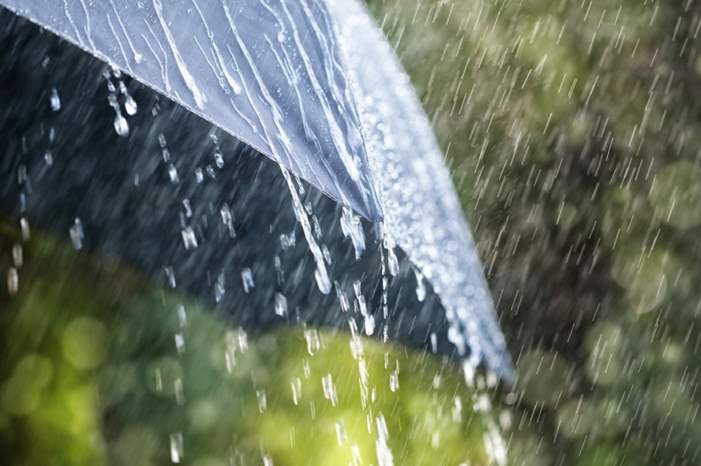 1531733901684825770_1000x669