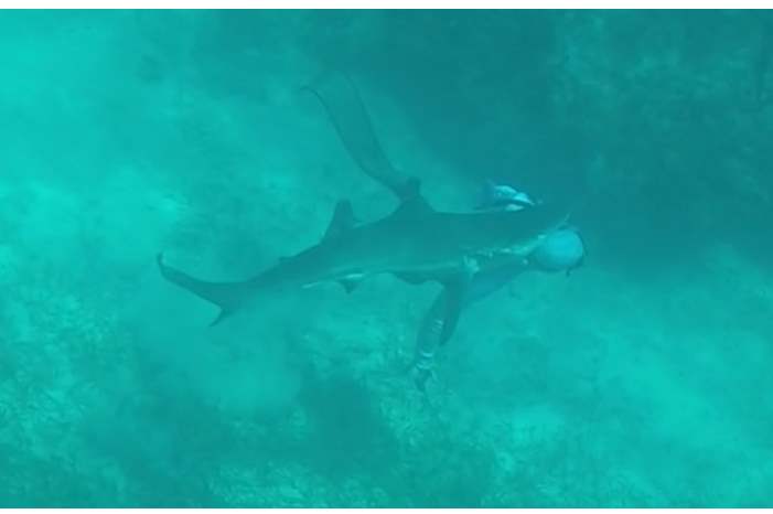 5bfe7ed195a597e2028b4583