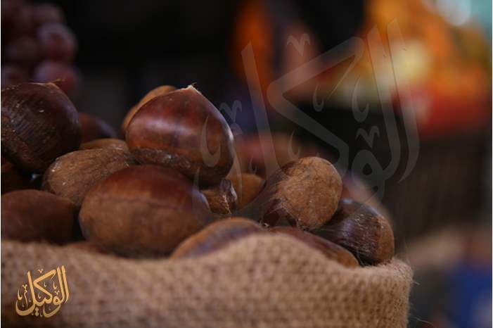 الكستناء | رفيقة الشتاء