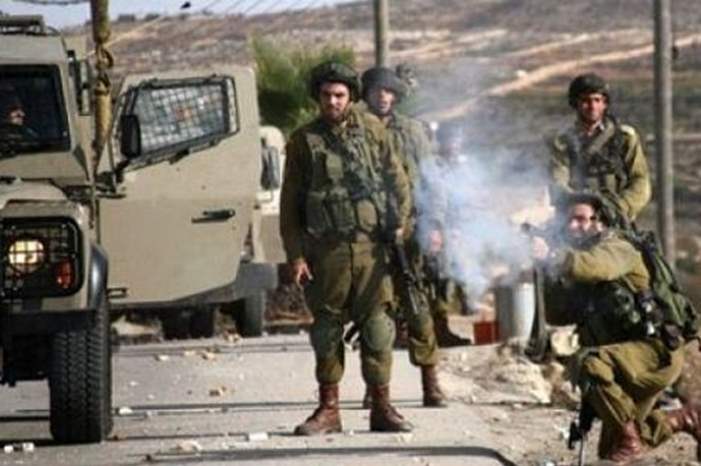 07133817111949514302040123822011