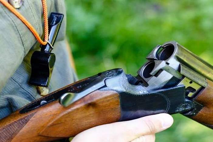 5bdafcf9d437509b368b458f