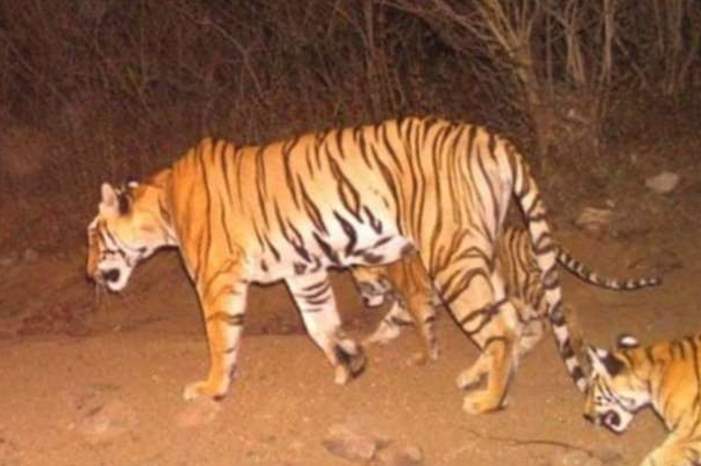 5bddf2dcd437503e7a8b45b0