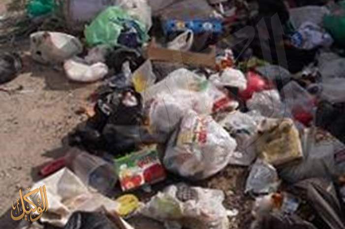 45452618_1988031661282821_8528303520699383808_n