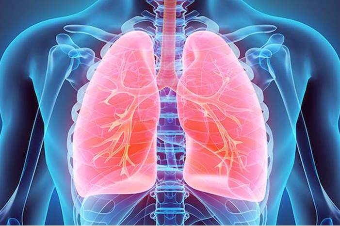 121-141052-lungs-health-food-body_700x400