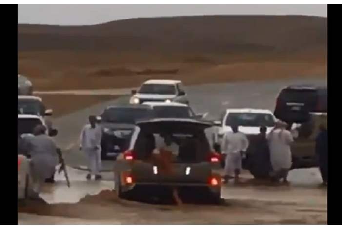 5be14d6d95a597124a8b4601