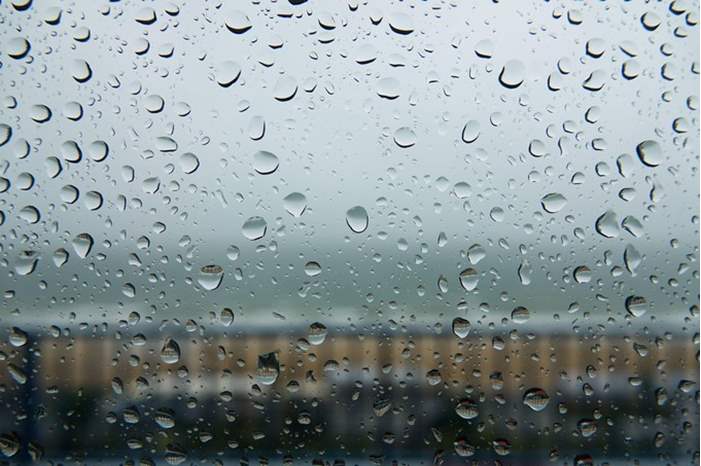 Image-1024-1024-4090969