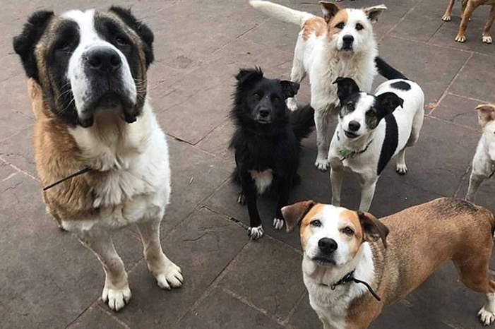 سكتة-قلبية-7