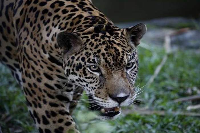 5be2f306d4375086618b4608