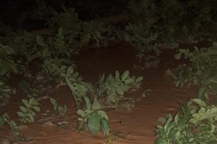 News-P-406481-636756622015762365