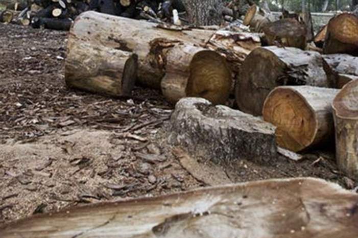 c71bdaad2dac7abe396312f5abf0f2fa