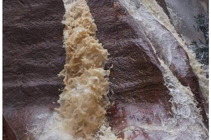 112018915210719931112