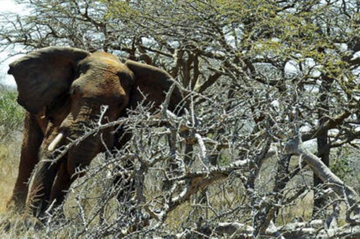 5c3600ccd437508b198b45cb