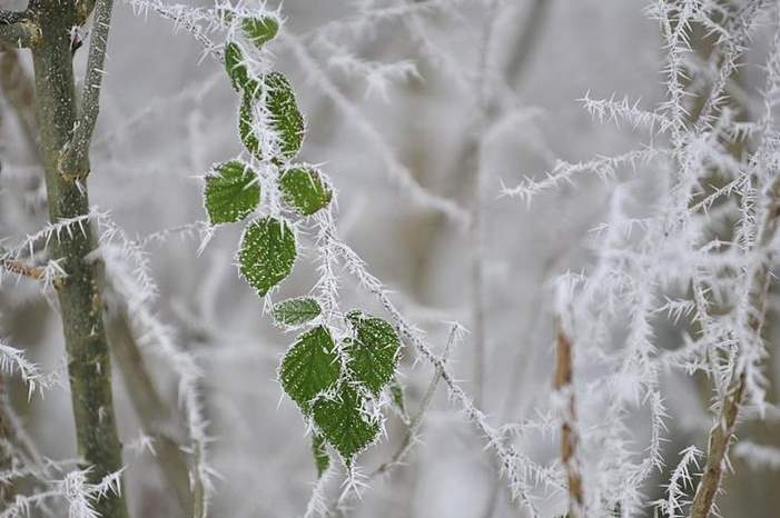 5a735f7dd4285694f0e941302641e260