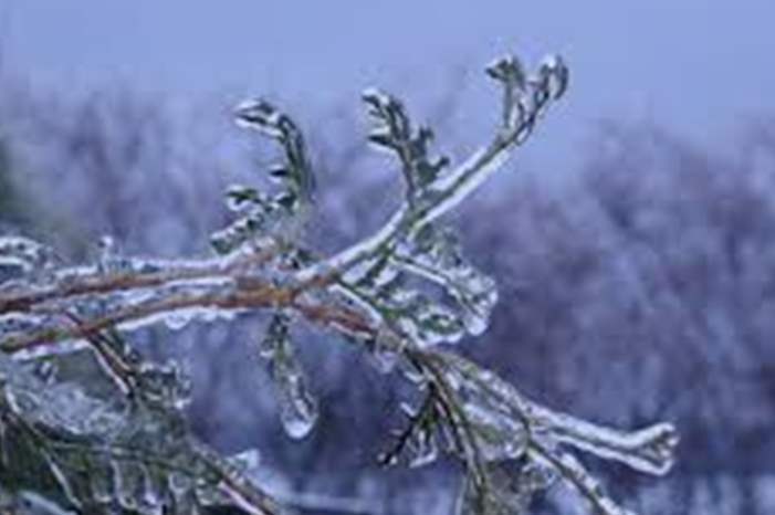 120191093815973993317